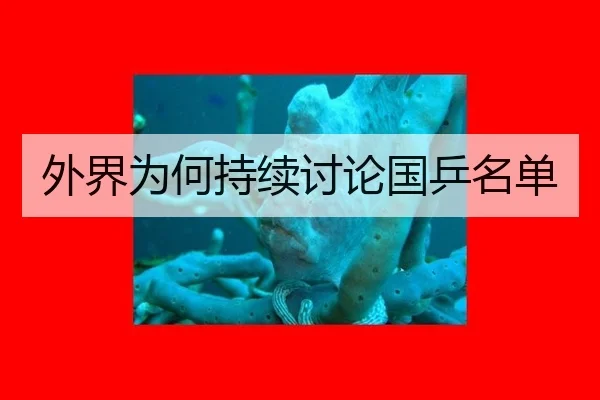外界为何持续讨论国乒名单